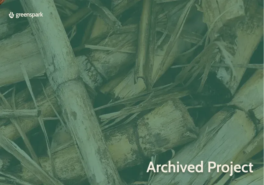 Sugarcane Biomass Power in India