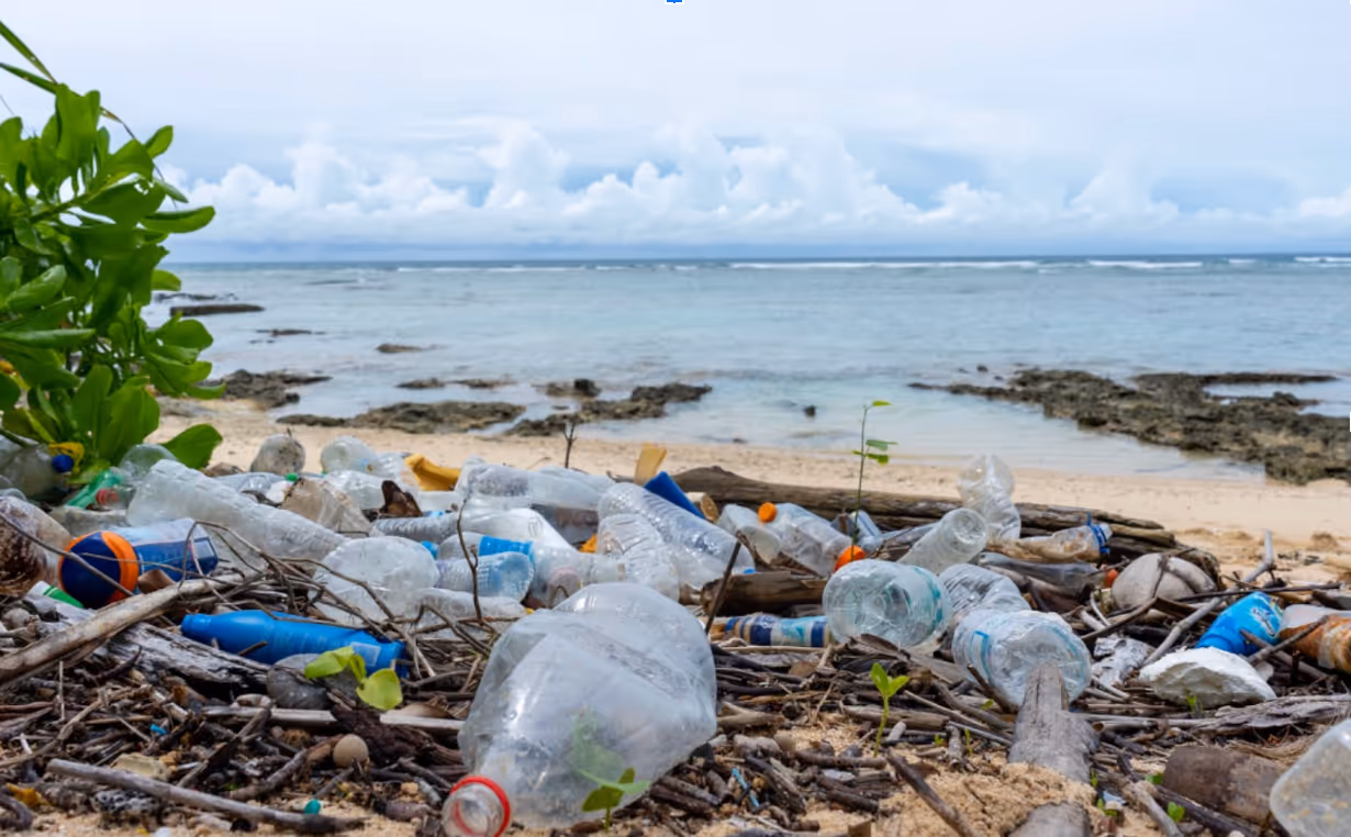 Five Ways Your Business Can Reduce Plastic Waste
